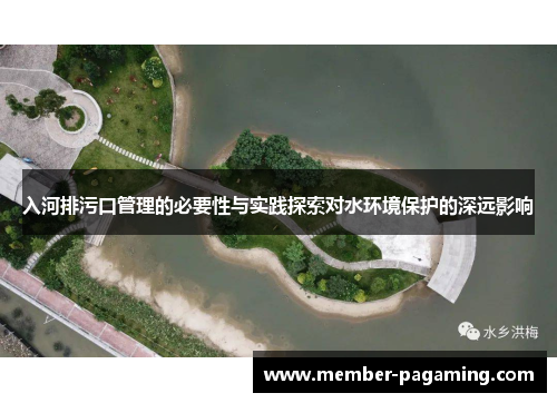 入河排污口管理的必要性与实践探索对水环境保护的深远影响