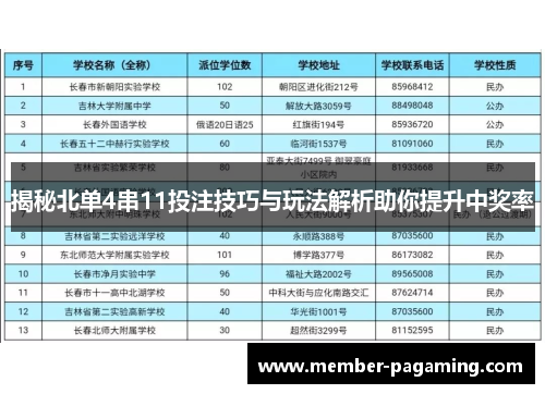 揭秘北单4串11投注技巧与玩法解析助你提升中奖率