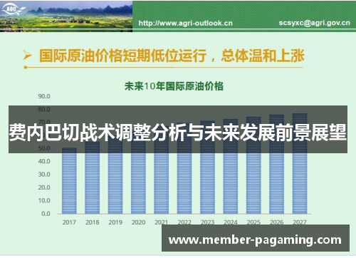 费内巴切战术调整分析与未来发展前景展望 费内巴切战术调整分析与未来发展前景展望