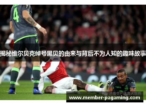 揭秘维尔贝克绰号黑贝的由来与背后不为人知的趣味故事 揭秘维尔贝克绰号黑贝的由来与背后不为人知的趣味故事